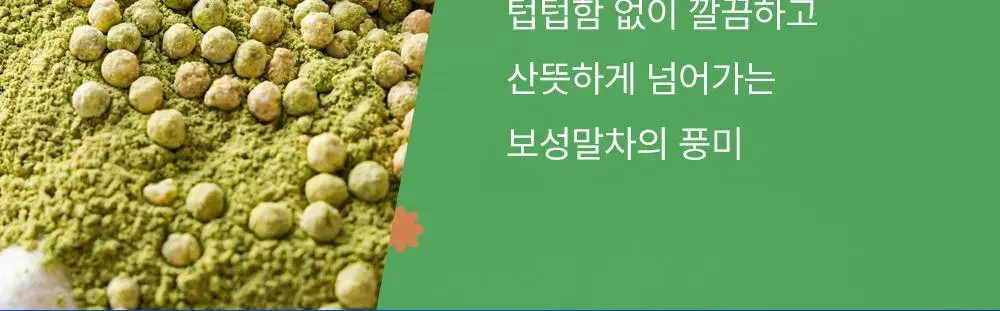 [나나PICK] 스위치온 프로틴 쉐이크 40g 4종 택1 상세페이지 49